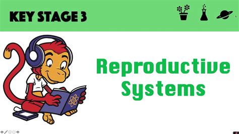 Reproductive Systems Youtube