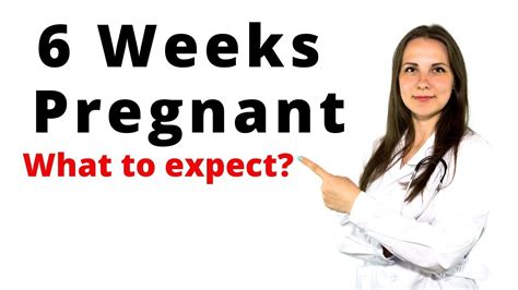 6 weeks pregnant what to expect youtube