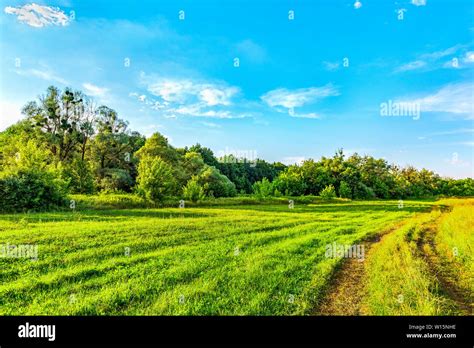 Country Road On Meadow Stock Photo Alamy