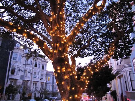 15 Inspirations Hanging Lights On Large Outdoor Tree