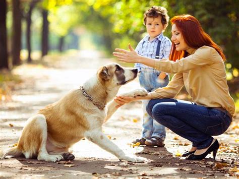 Why People Love Dog Over Other Pet Animals