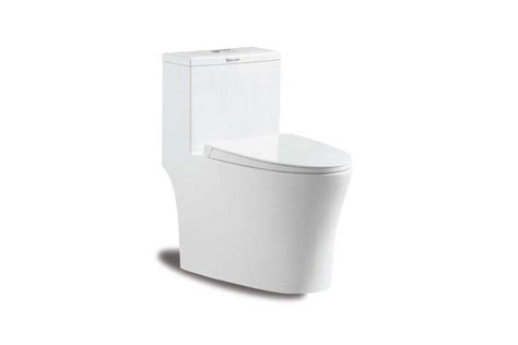 Getting To Know Five Types Of Toilets For Your Home Best Home Design Ideas