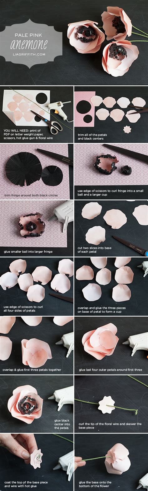 Diy Paper Flower Anemone Lia Griffith