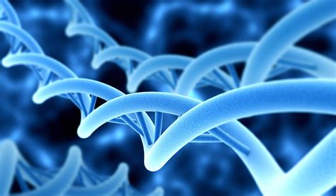 Che Cosa Sono Il Gene Ed Il Genoma
