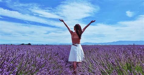 Lavender Fields Half Day Sault Tour From Avignon Getyourguide