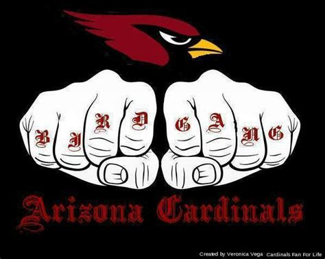Bird Gang Louisville Cardinals Football Arizona Football Arizona