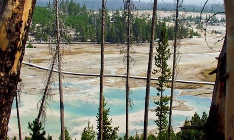 Lower Grand Loop Road In Yellowstone Alltrips