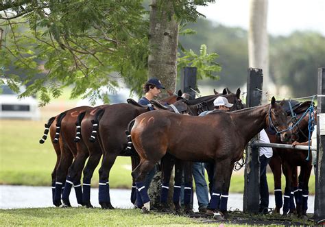 Usa Reflects On Historic Fip World Polo Championship An Article By