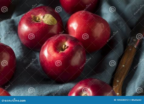 Red Organic Macintosh Apples Stock Photo Image Of Nutrition Colorful