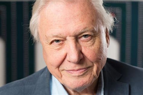 A life on our planet. Sir David Attenborough warns 'If we damage the natural ...