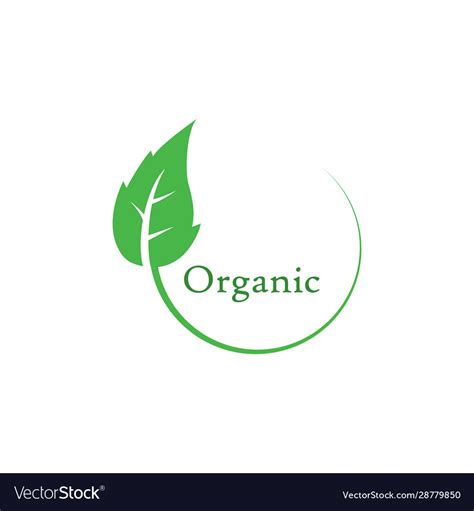 Green Leaf Organic Icon Royalty Free Vector Image