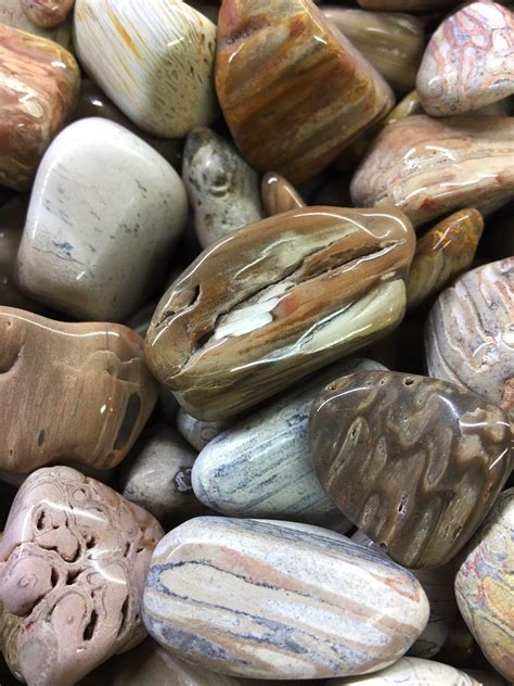 ©2021 galleria of stone llc / 12655 e 42nd ave. Tumbled Stones : Wood Petrified Palm Tumbled Stones 250g
