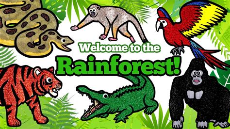 Rainforest Animals Names And Pictures Nature Wallpaper