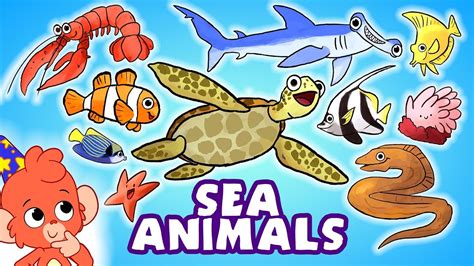 Ocean Animals For Kids Review Ocean Animals The First Sea Animal