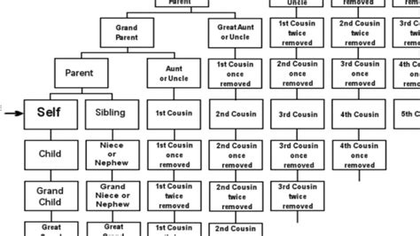 Understand The Difference Between Second Cousins And Cousins Once Removed