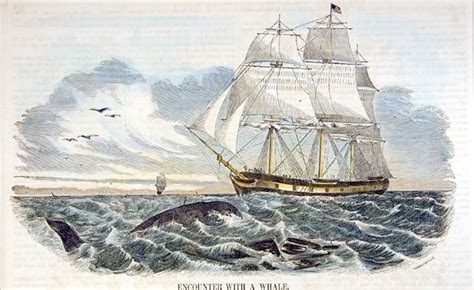 In The Heart Of The Sea The Tragedy Of The Whaleship Essex