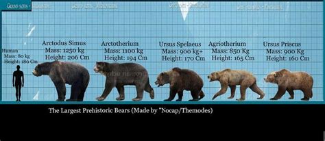 Prehistoric Bears Short Faced Bear Prehistoric Animals Cave Bear