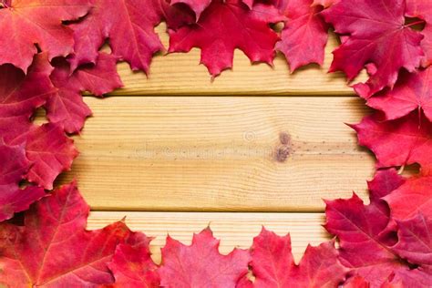 Frame Of Red Maple Leaves Stock Image Image Of Autumn 160343509