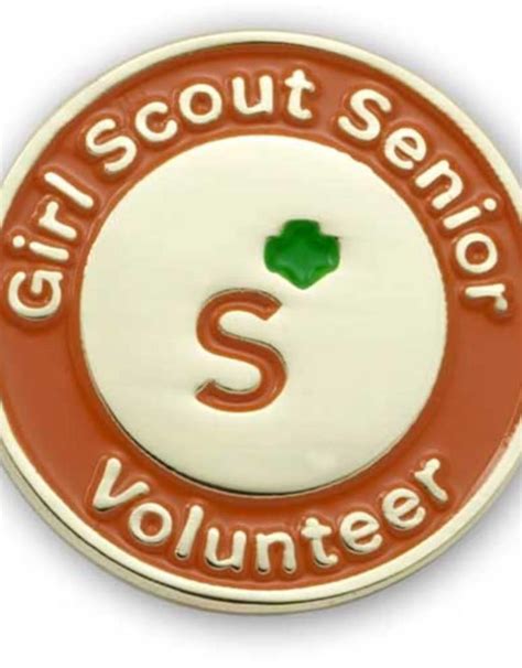 Girl Scouts Of The Usa Gs Senior Volunteer Pin Girl Scouts Of Silver
