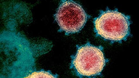 Uk Biobank Dna To Unlock Coronavirus Secrets Bbc News