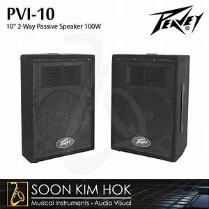 Peavey Pvi 10 10 Quot 2 Way Full Range Passive Speaker 100w Pvi10