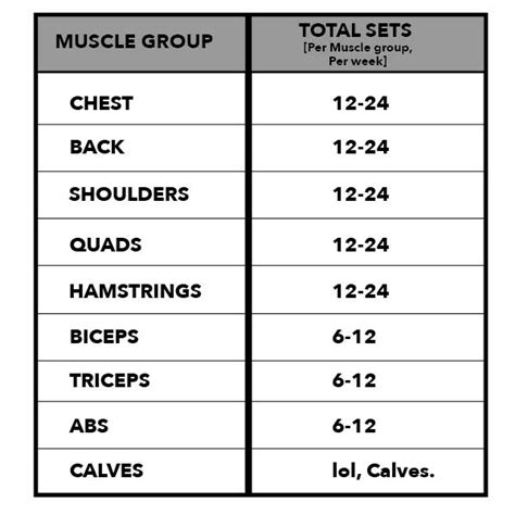 To determine the ideal workout volume, a team of sport scientists painstakingly reviewed and analyzed a huge. How Many Exercises Should I Do Per Muscle Group - Mature ...