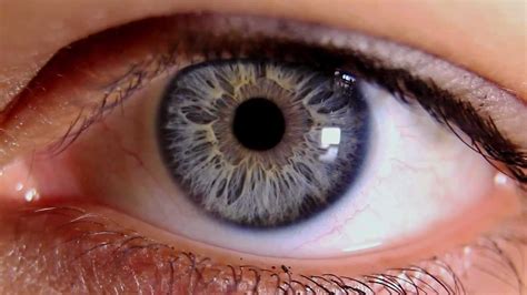 Macro Video Of Human Eye And Iris Youtube