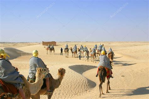 Turistas Montando Camelos No Deserto Do Saara — Fotografias De Stock