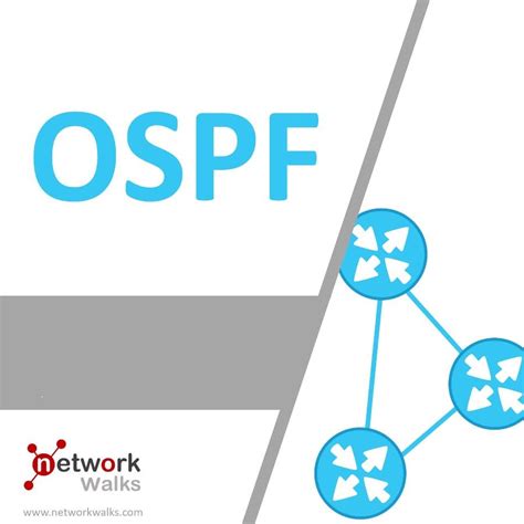 OSPF Open Shortest Path First Networkwalks Academy