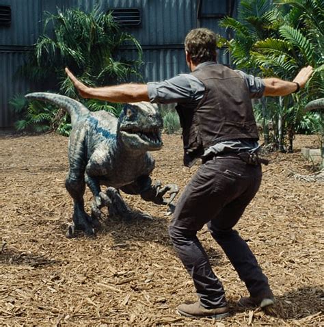 Jurassic World 2 Plot Details Leaked Involving Raptor Blue Daily Mail