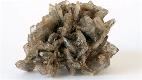 How to Apply Gypsum to Clay Soil | Garden Guides