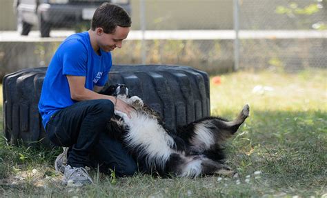 Work At The Bc Spca