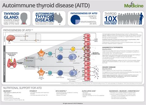 Autoimmune Thyroid Disease Fx Medicine
