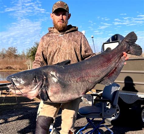 106 Pound Blue Catfish Helps Anglers Win Almost 1400 Outdoor Life