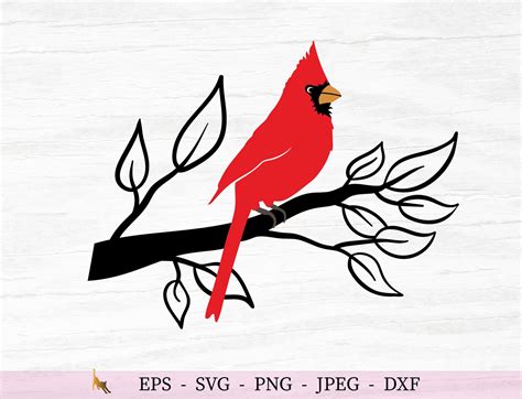 Cardinal Svg Bird On Branch Svg Bird Svg Cut Files For Cricut Etsy