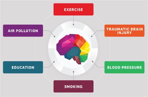 Control 12 Risk Factors To Prevent Dementia Daily Trust