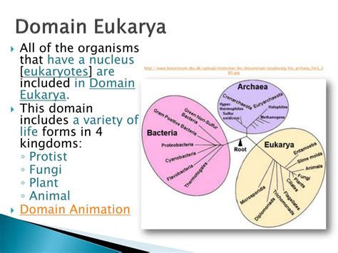Ppt Unit 13 Taxonomy Powerpoint Presentation Free Download Id