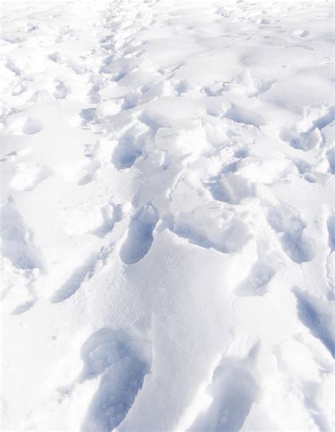 Free Foot In The Snow Stock Photo