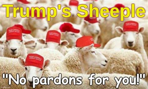 Trumps Insurrectionists His Sheeple Imgflip