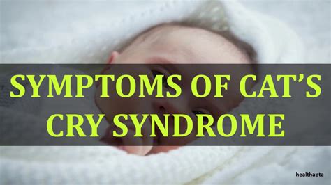 Symptoms Of Cats Cry Syndrome Youtube