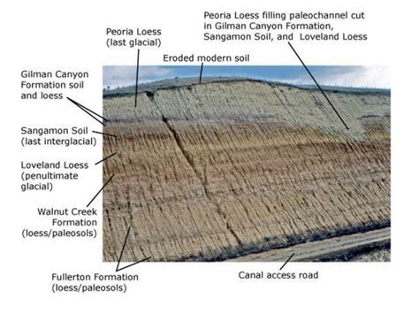 Check spelling or type a new query. PPT - Major Factors of Soil Formation PowerPoint ...