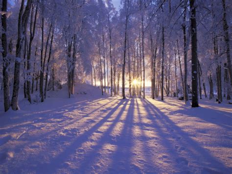 Wallpaper Collection 37 Free Hd Winter Desktop Backgrounds Background To Download And Use Pc