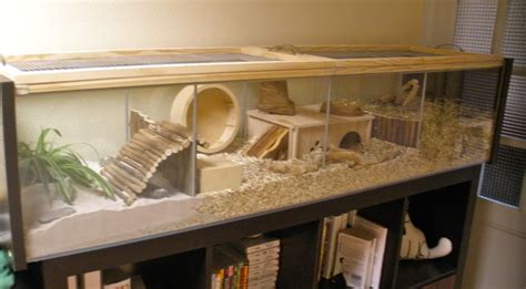 Pin By Veronika S On Gerbils Hamster Habitat Hamster Cages Hamster Diy Cage