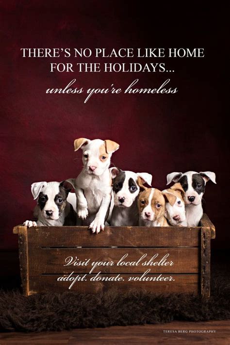 Rescue Puppies Poster By Tbergphoto On Etsy 1200 Rescue Puppies