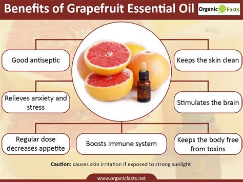 This guide covers the research and facts. Pin on Essential oils