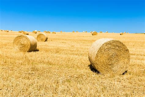 Straw Bales And Blue Sky Free Stock Photo Public Domain Pictures