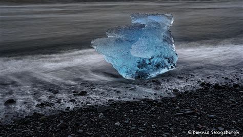 4564 Jökulsárlón Iceberg Black Beach Iceland Dennis Skogsbergh