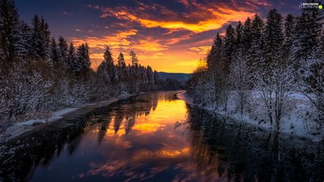 Viewes River Great Sunsets Winter Forest Trees For