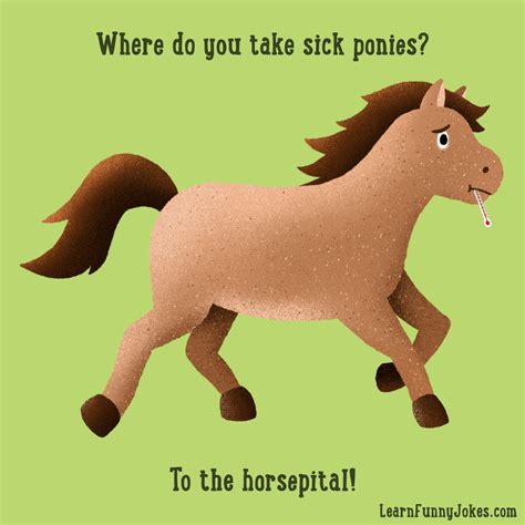 A Funny Animal Joke About Horses Here Do You Take Sick Ponies To The