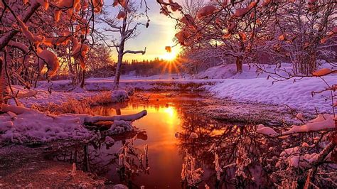 Hd Wallpaper Sunset Winter Landscape Sunray Forest Snow Trees